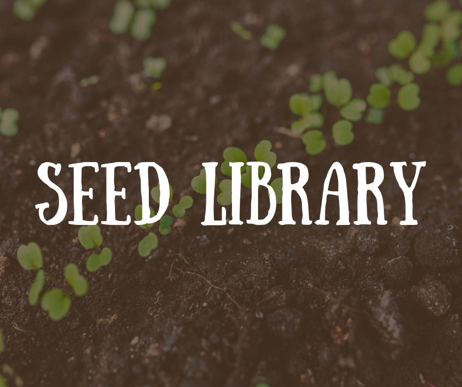 Seed Library April 2021 Update